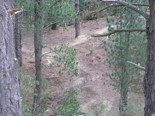 Just one of the trails