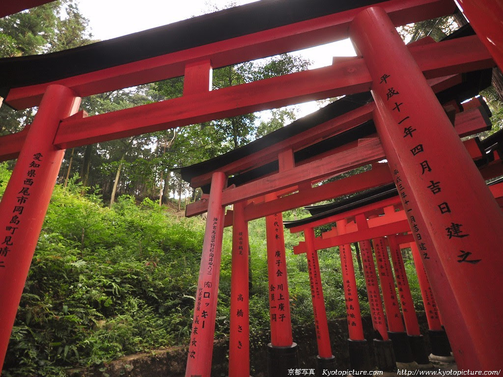 京都 伏見稲荷大社 千本鳥居の写真