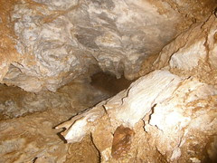 DSCF6172
