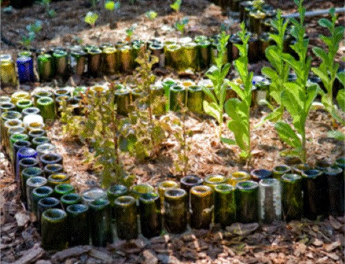 Wine Bottle Border