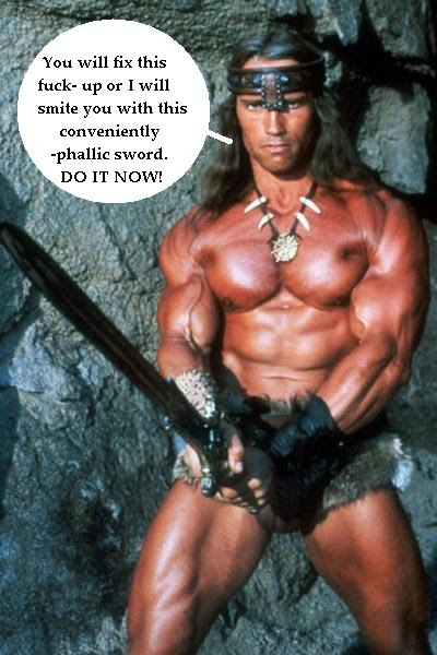 conan the barbarian arnold schwarzenegger. arnold schwarzenegger conan