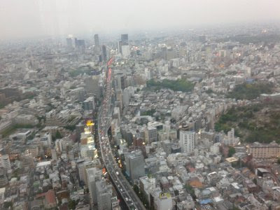120120523_183452.jpg