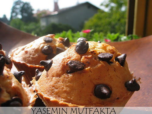 seftalili_muffin_6K