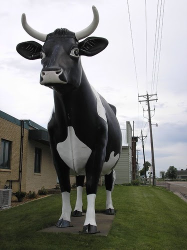 Big Cow