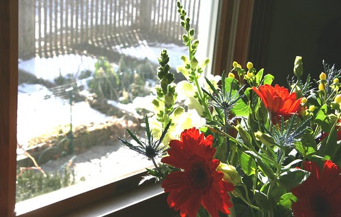flowers by the window