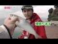 コレクション コノシロ 酢締め アレンジ 531400-コノシロ 酢締め アレンジ