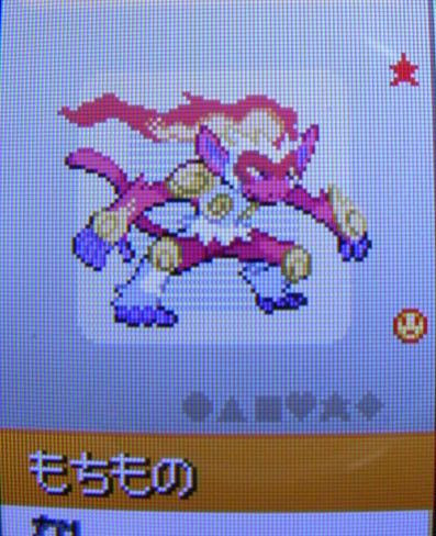 色違いポケモン ゴウカザル キラリン ポケモン奮闘記