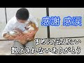 √画像をダウンロード 犬 亡くなる 時 326679-犬 亡くなる 時間帯