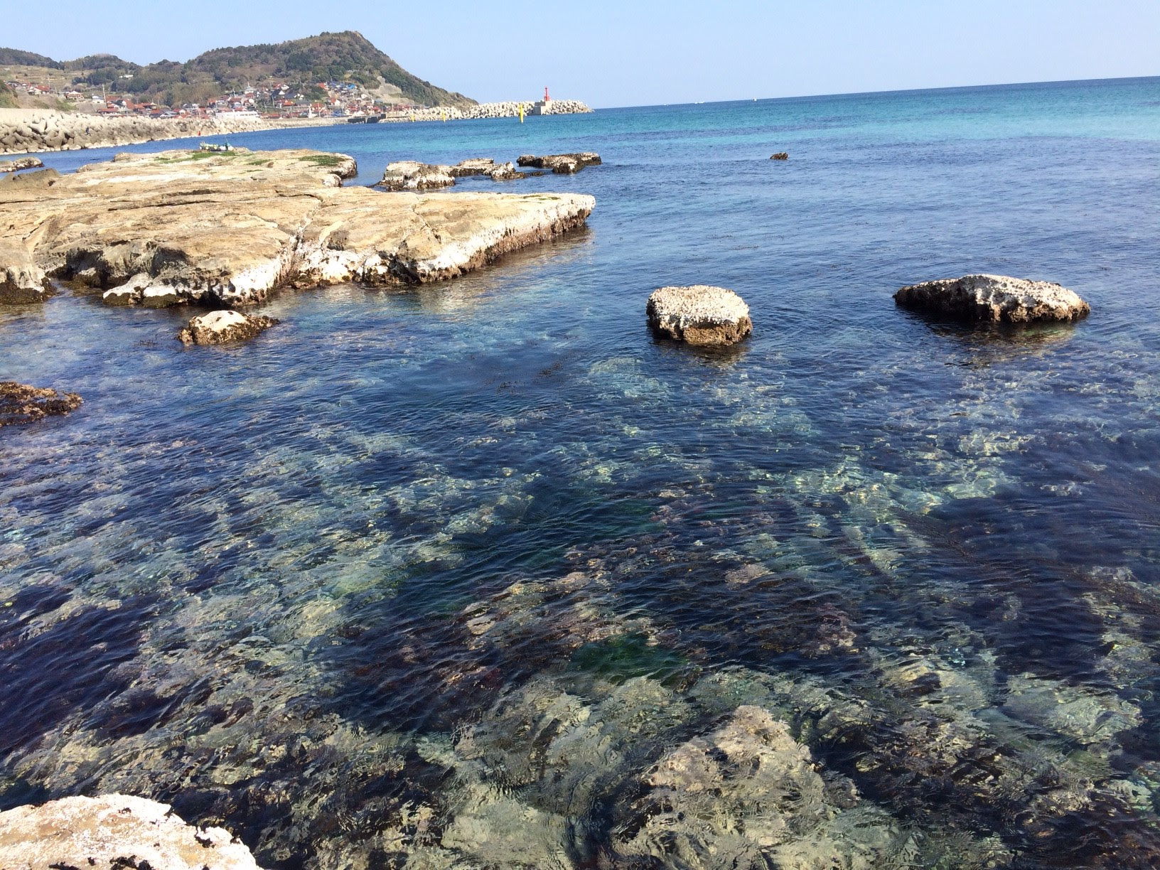 山口の海 穴場 西照寺ブログ