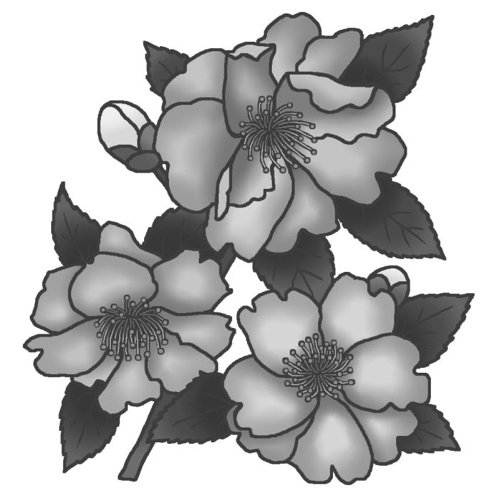 冬の花1 サザンカ 山茶花 3 モノクロ 花のイラスト 季節の花 お花と季節のお礼状