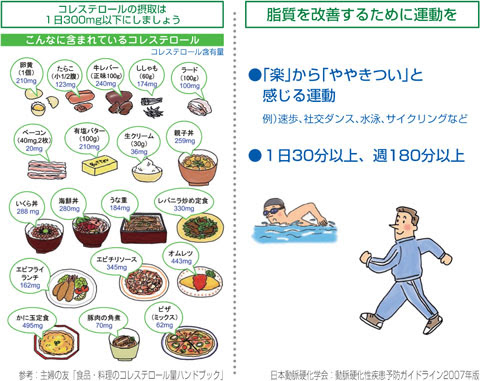 85 脂質異常症 といわれたら 肥満 糖尿病 循環器病あれこれ 国立循環器病研究センター 循環器病情報サービス