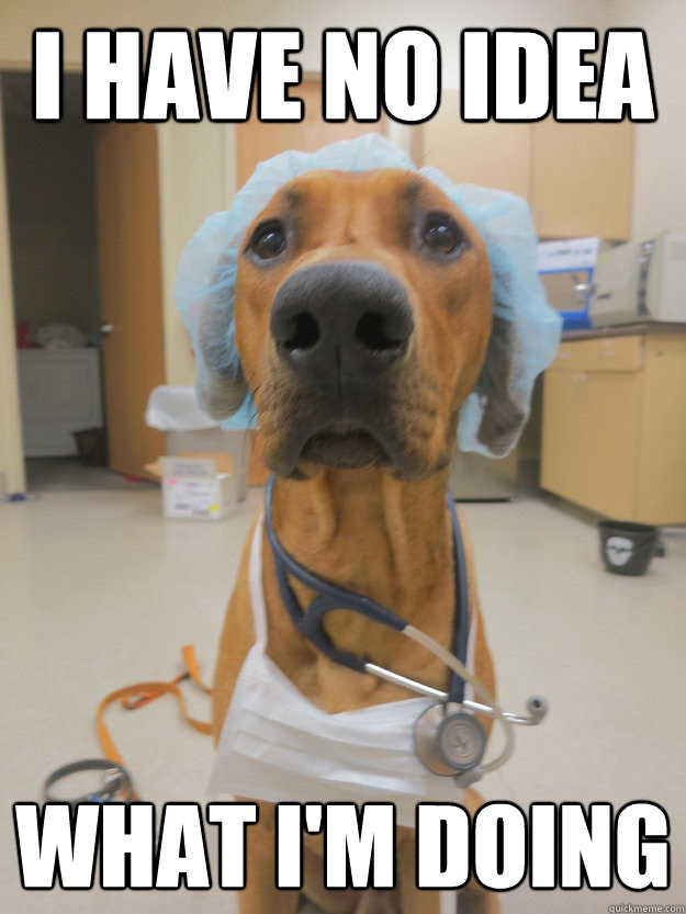 I have no idea what i'm doing - Dr. Dog - quickmeme