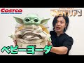 ++ 50 ++ コストコ 赤ちゃん おもちゃ 279958