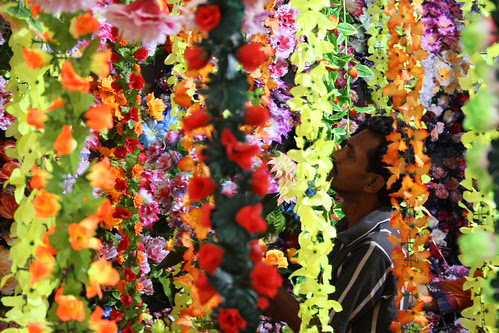 Flowers by srijankundu