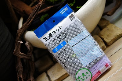 立ち上がれ龍王達 私の未熟さを後悔します I Regret The Inexperience