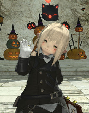 Ff14 ララフェル からルガディン に幻想したらmip0になったんだが Ff14ひかせん速報