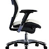 Best Ergonomic Office Chair For Back Pain