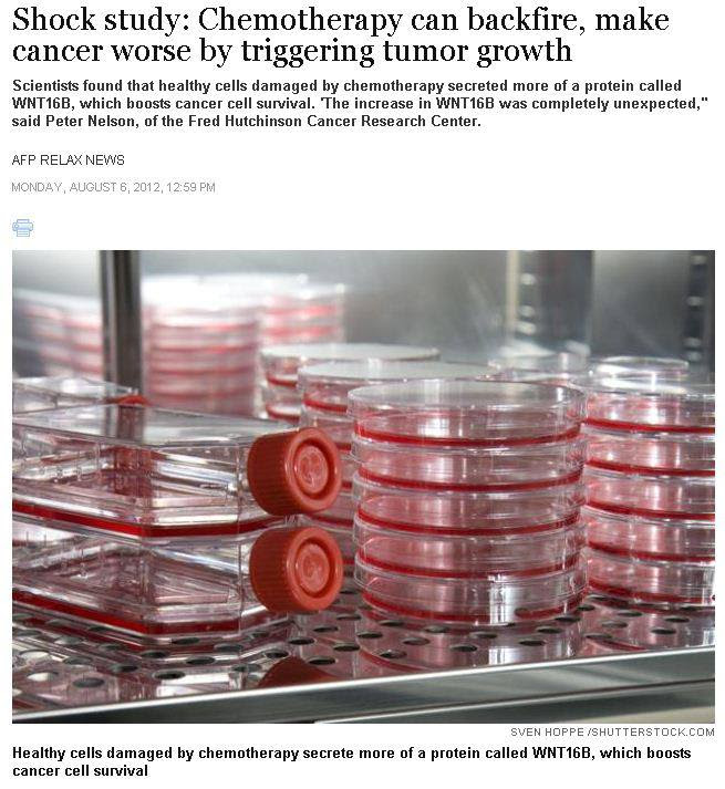 The Corrupt Cancer Industry | Integrating Dark and Light ...