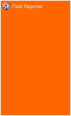 currency converter