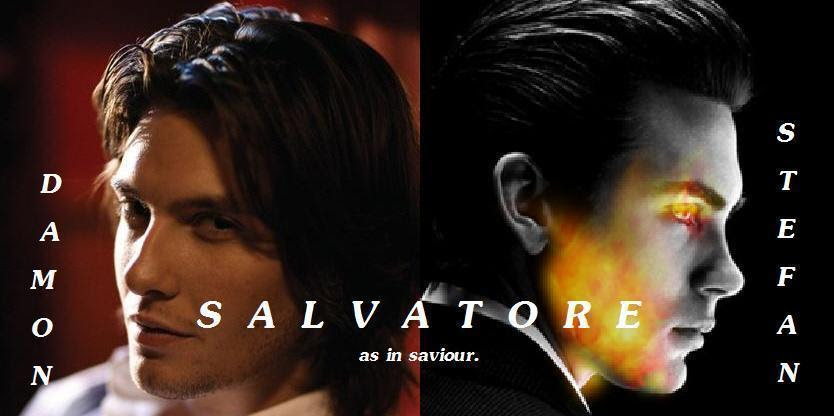Stefanamp;Damon - Vampire Diaries damon vampire diaries. Stefanamp;Damon - Vampire Diaries