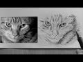 How To Draw Smile Cat / Untitled Document www.drawfacesnow.com : Draw the to of the head including the ear.