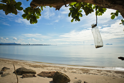 Sunlight Bottle