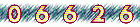 website hit counter