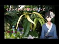 √ イラン イラン の 香り 222667
