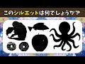 [10000ダウンロード済み√] シルエット クイズ 難しい 242538-ポケモン シルエット クイズ 難しい