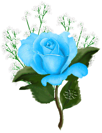 taggedsite.info Flower Comments