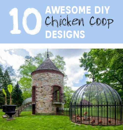 10 Awesome DIY Chicken Coop Designs - SHTF &amp; Prepping Central
