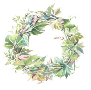 葡萄の葉のリース アシカのアトリエ