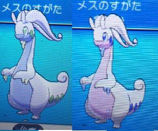 色違いに釘付け ヌメルゴン Xy