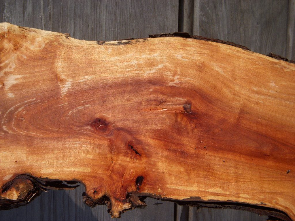 Apple - The Wood Place