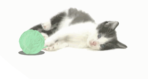 Gif