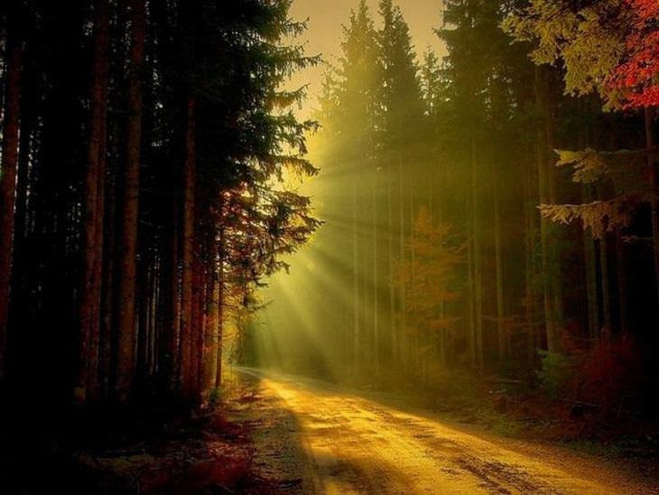 fotos lindas da natureza