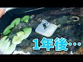 25 ++ 池 ろ過装置 ソーラー 185426-池 ろ過装置 ソーラー