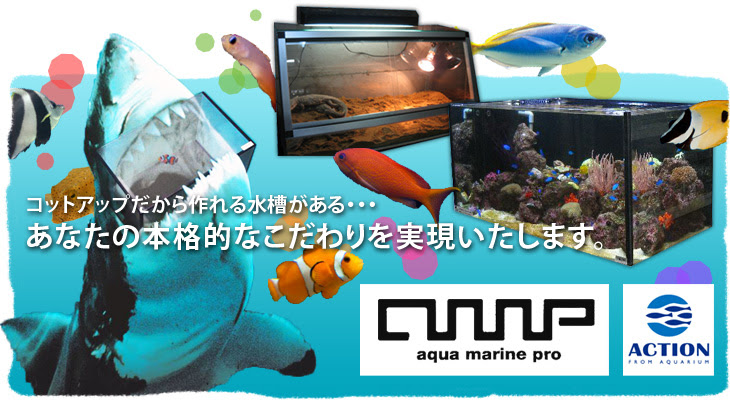 オーダーメイド水槽の製作 オーバーフロー水槽 爬虫類用ケージの販売ならコットアップ