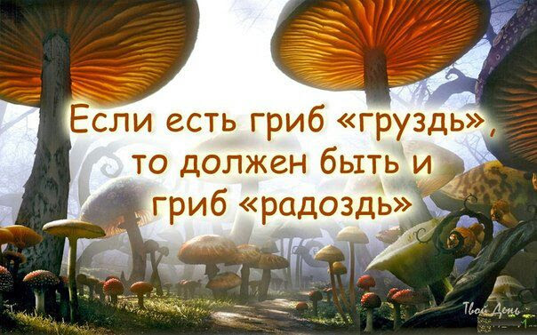 РАДОЗДЬ!