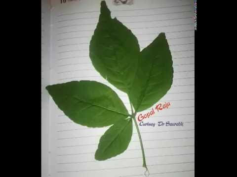 चित्र