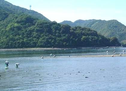 高知県土佐市宇佐町天皇州潮干狩り