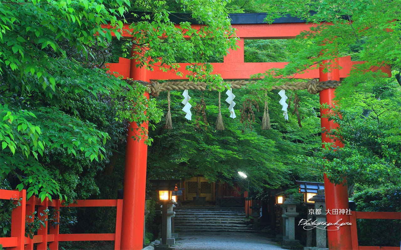 大田神社 鳥居と新緑 の壁紙 1280x800