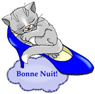 Chat Bonne Nuit
