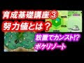ポケモンサンムーン ポケリゾート 努力値 255659
