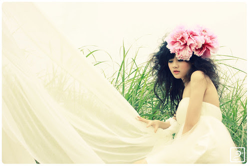 ~ dreamy wander #6 ~