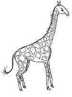 kids n fun 45 coloring pages of giraffe