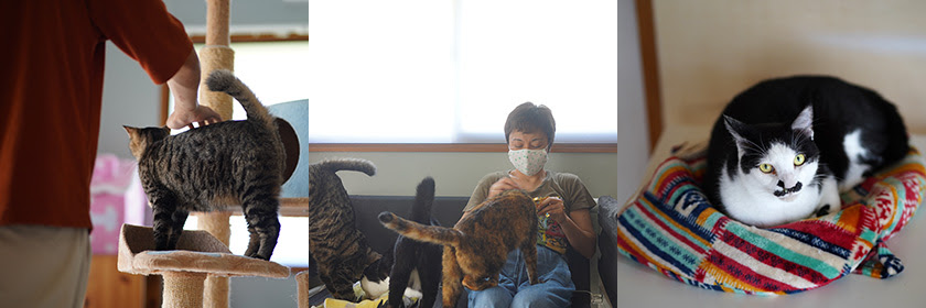 Vol 24 岡本久美江さん ちくほくのひと 筑北村空き家バンク