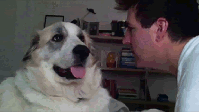 cadela AH LOCO EU NÃO DEIXAVA!