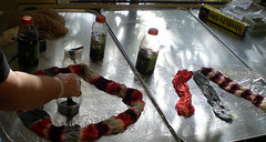 Terry dyeing her skeins