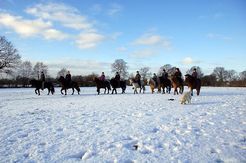 eine Gruppe im Schnee